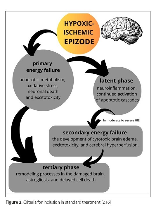 Figure from article: Therapeutic hypothermia as...