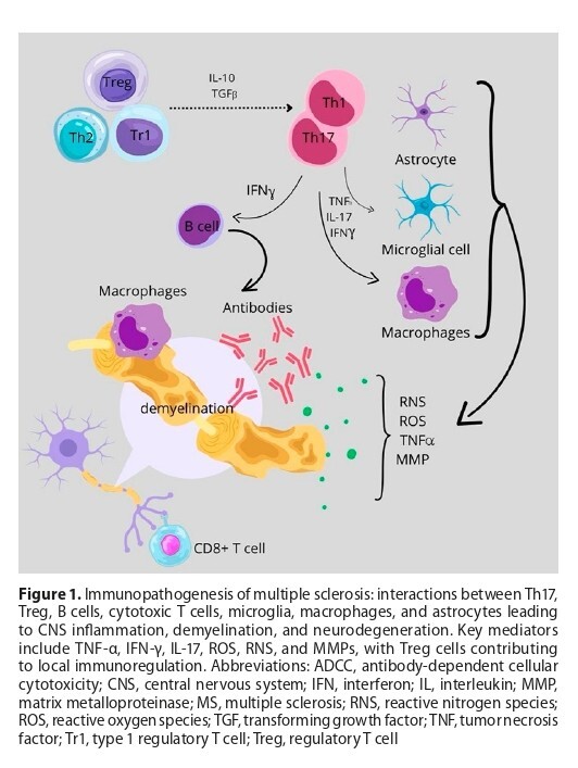 Figure from article: Immunopathogenesis of...