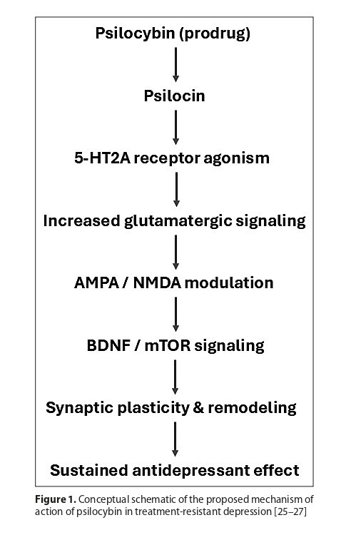 Figure from article: Rapid-acting interventions...