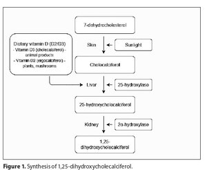 Figure from article: Environmental determinants...